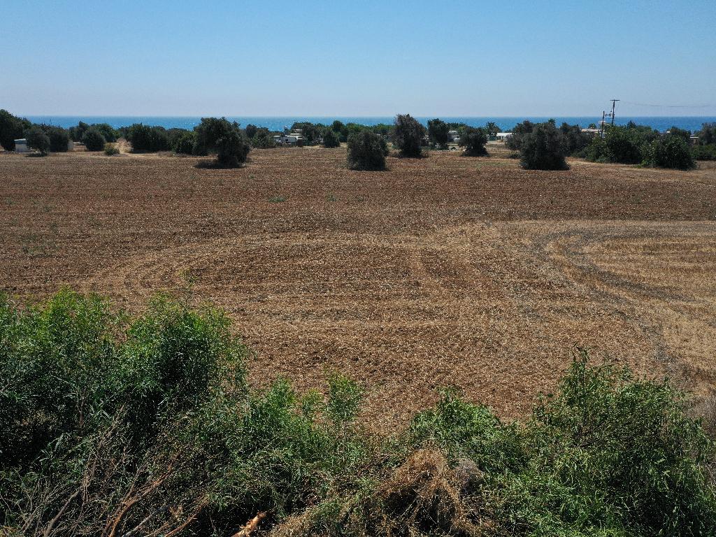 Χωράφι (Μερίδιο) - Μαζωτός, Λάρνακα