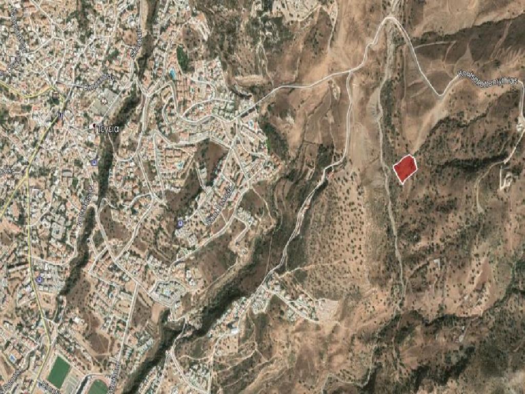 Field-Pegeia-PR13634