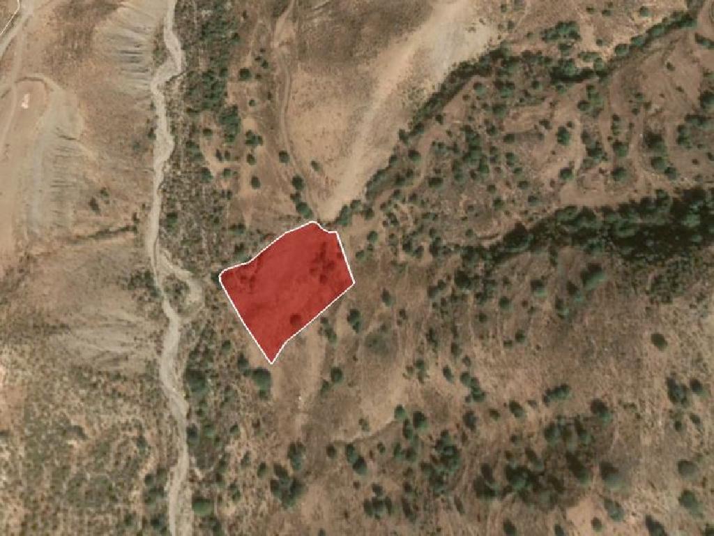 Field-Pegeia-PR13634