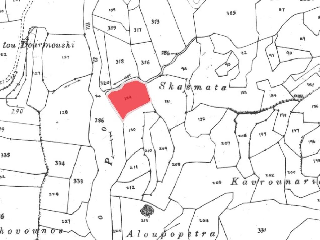 Field-Pegeia-PR13634