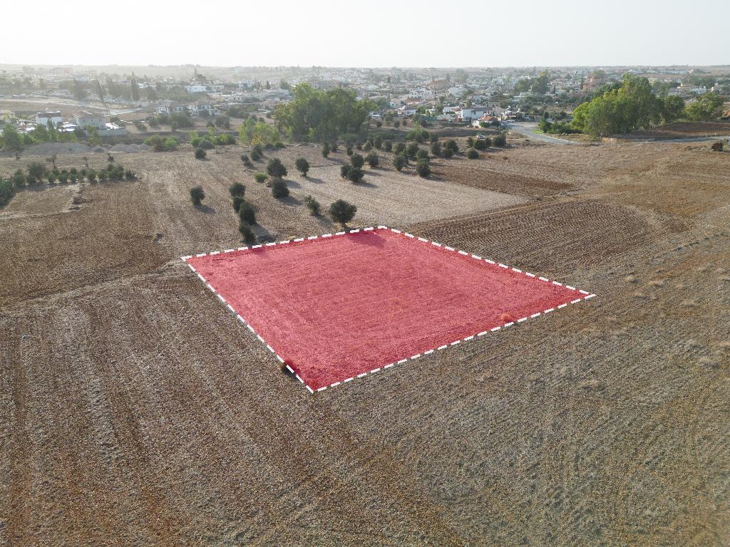 Field-Paleometocho-PR15144