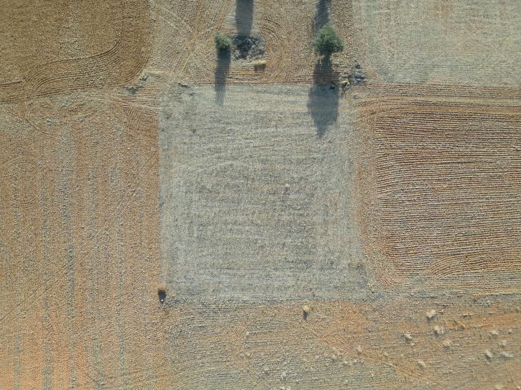 Field-Paleometocho-PR15144