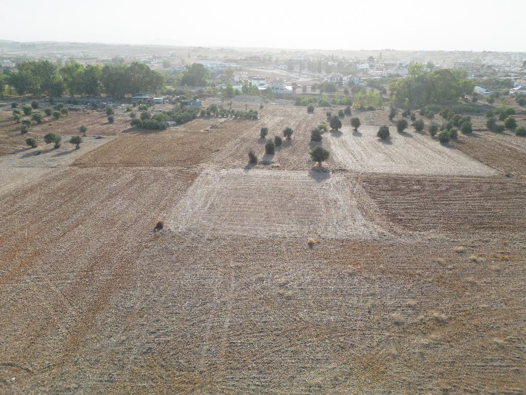 Field-Paleometocho-PR15144