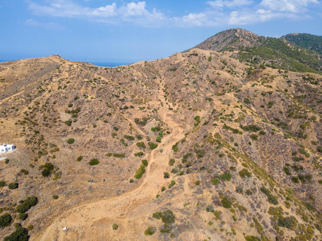 Field – Pomos, Paphos