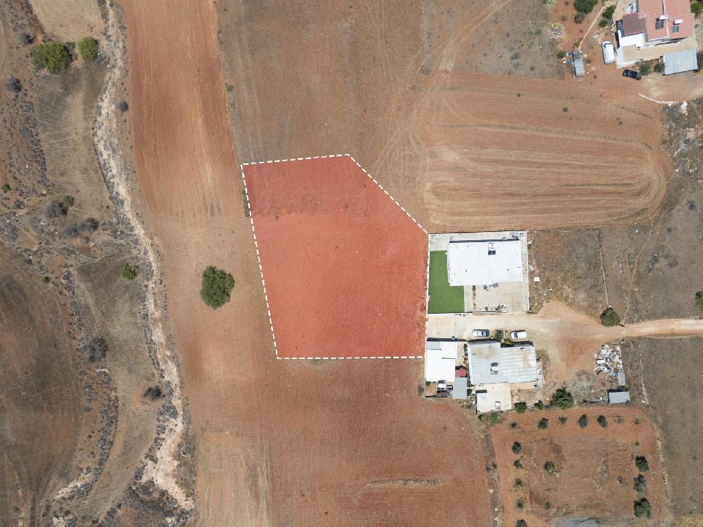 Field-Paleometocho-PR33222