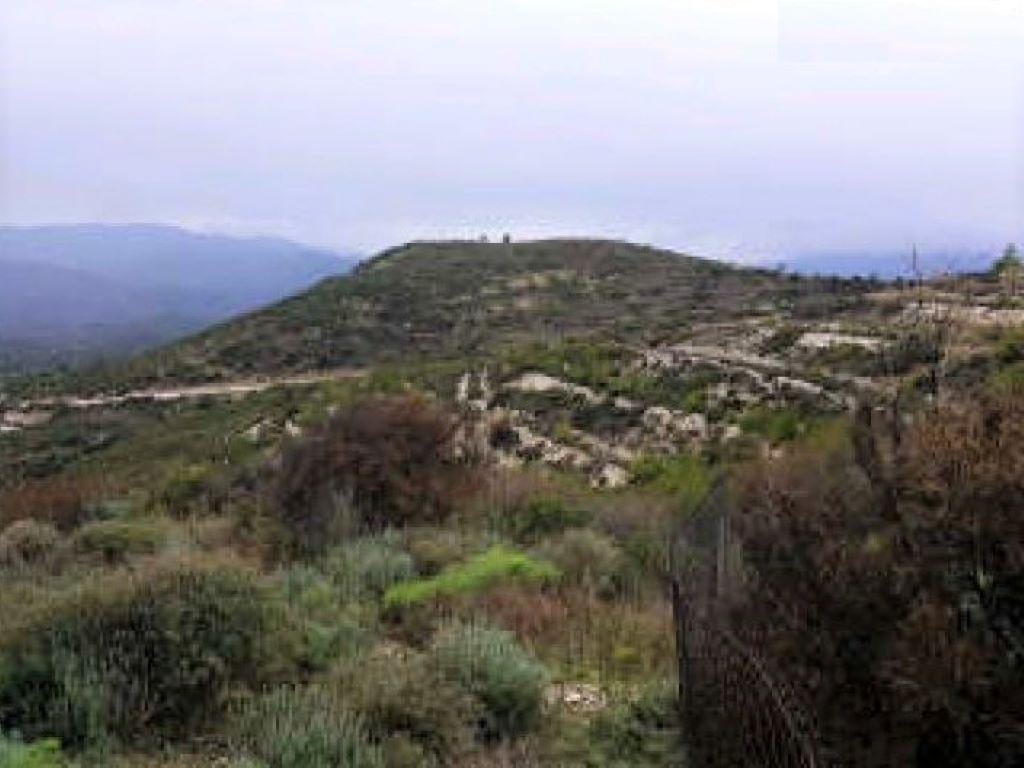 Field - Vavla, Larnaca
