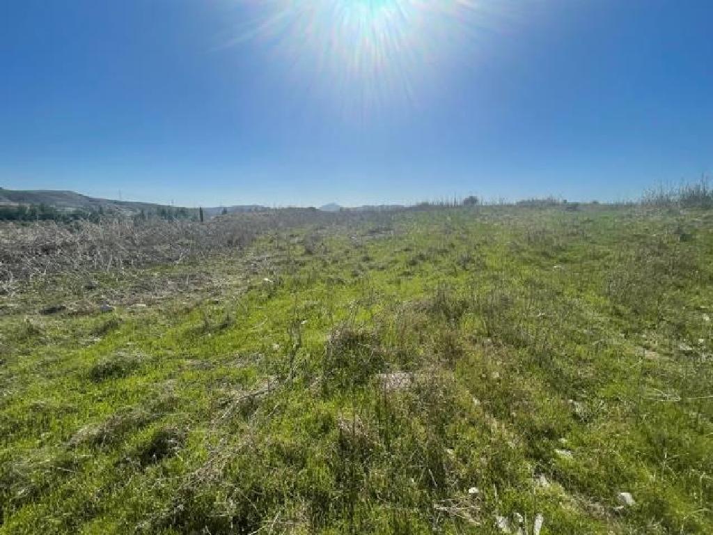 Field (Share) - Lympia, Nicosia