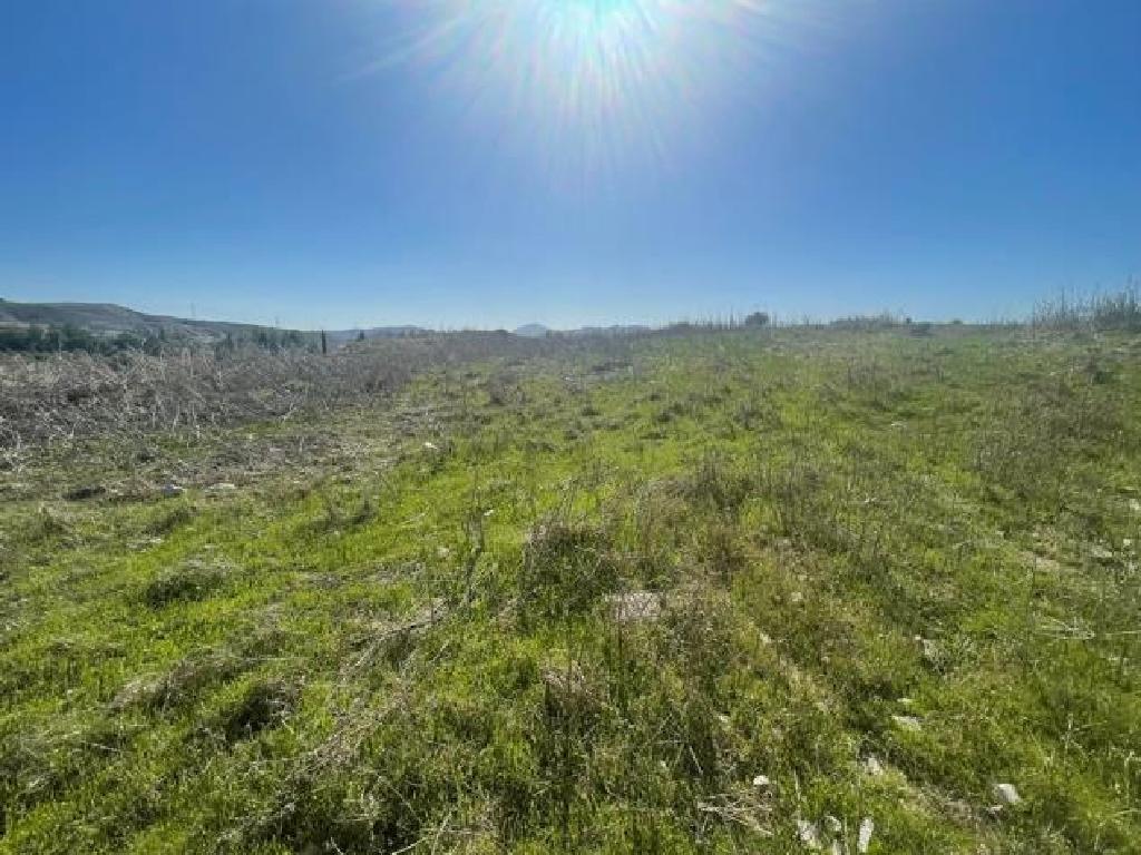 Field (Share) - Lympia, Nicosia