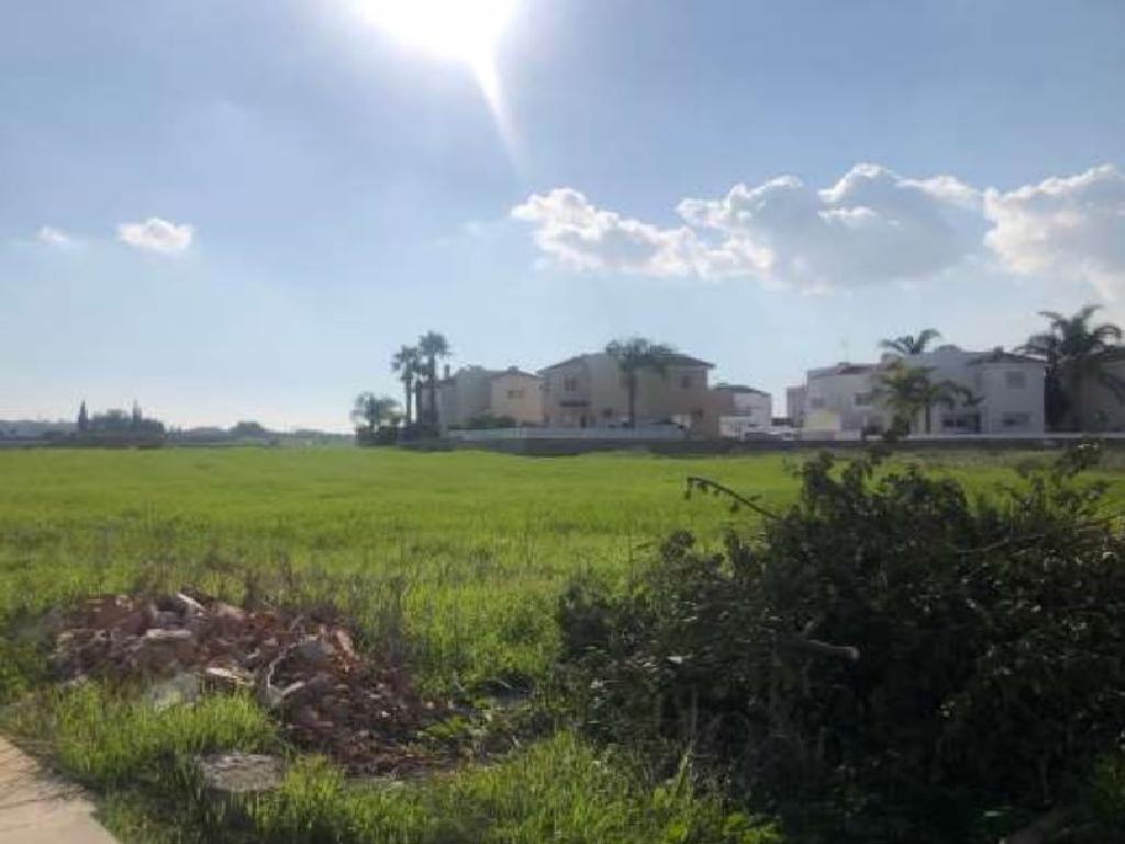 Field-Paralimni-PR35010