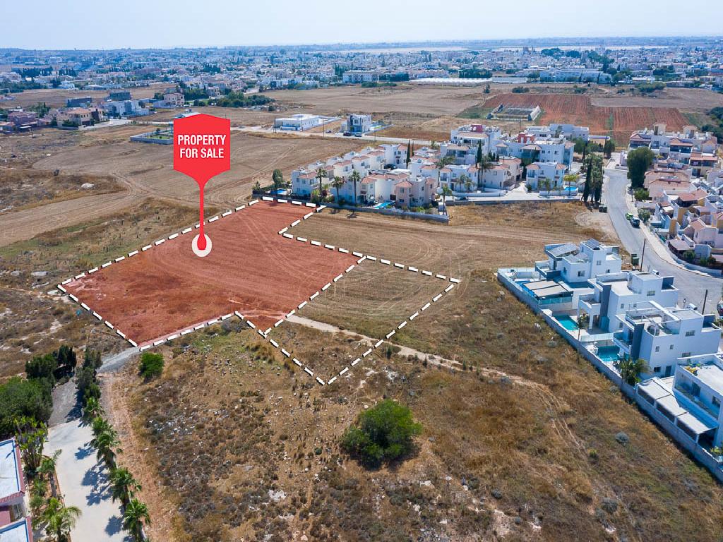 Field-Paralimni-PR35010