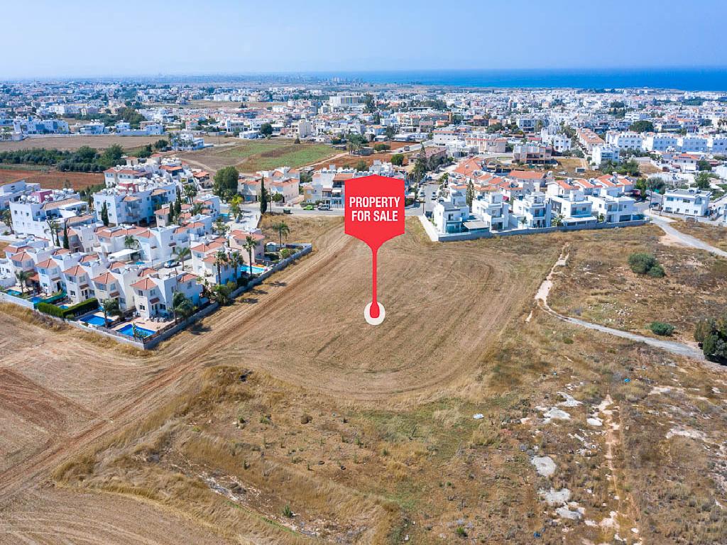 Field-Paralimni-PR35010