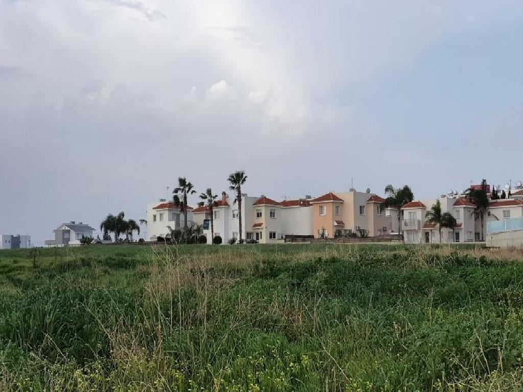 Field-Paralimni-PR35010
