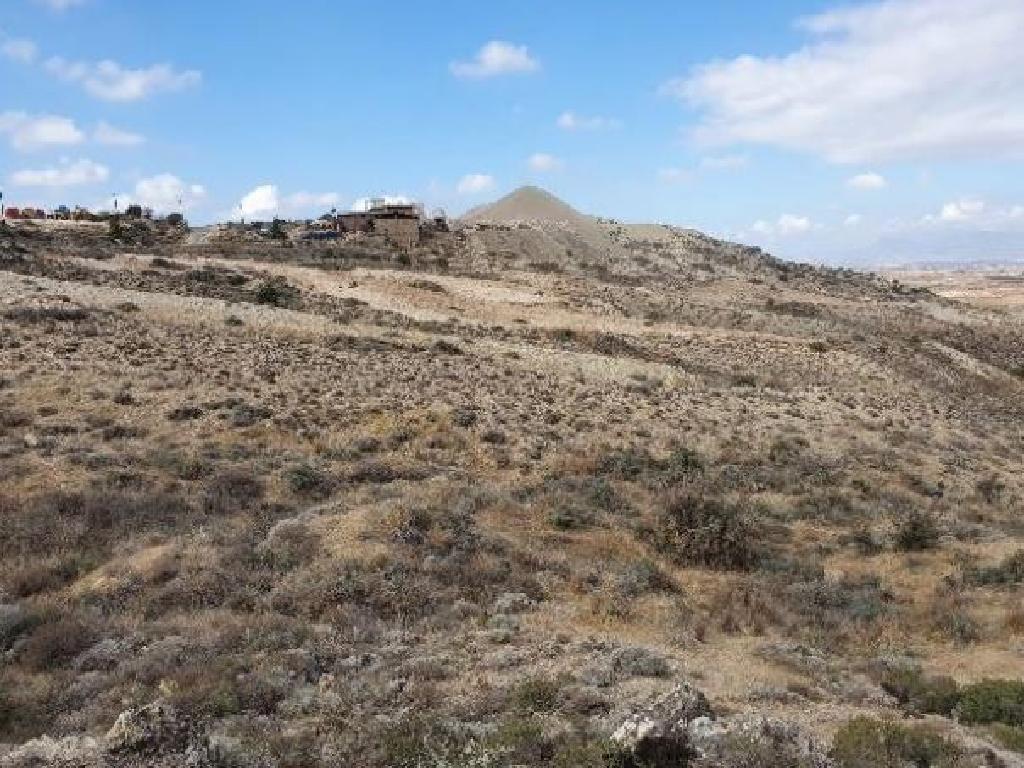 Field-Malounta-PR35491