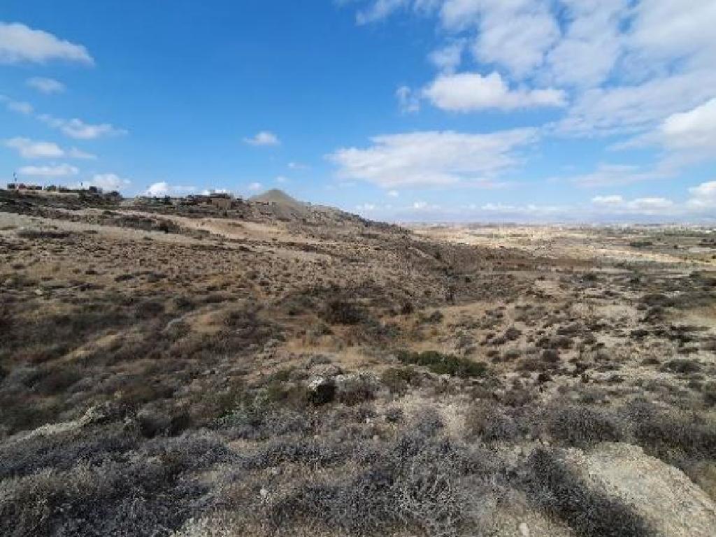Field-Malounta-PR35491