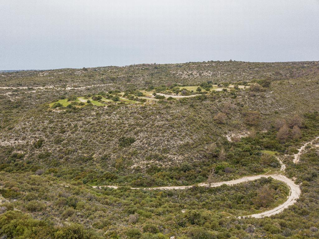 Field-Ypsonas-PR35280