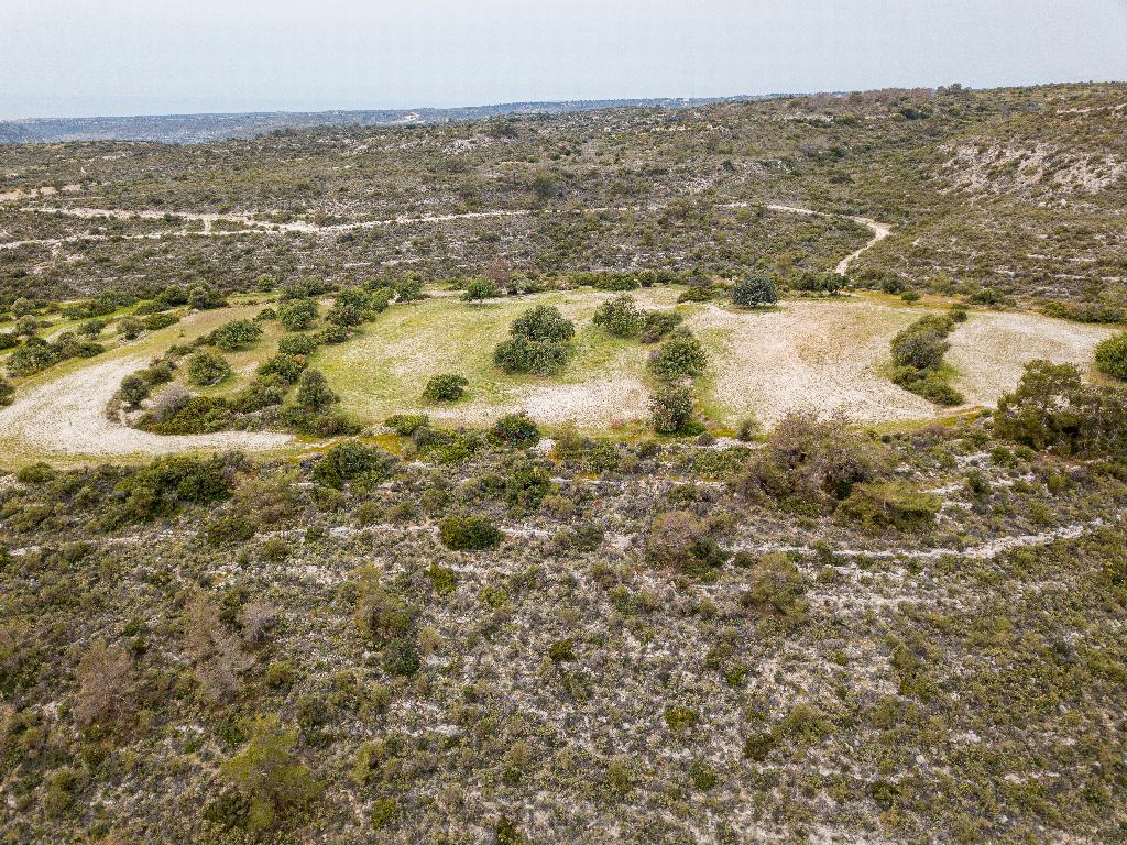 Field-Ypsonas-PR35280