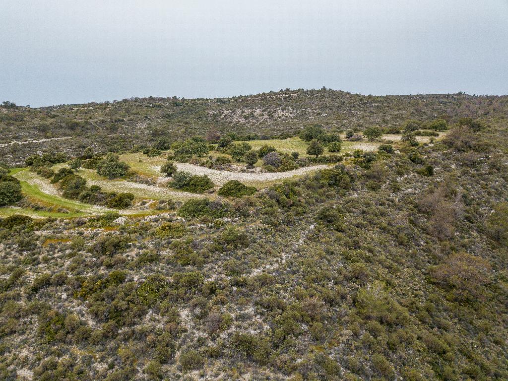 Field-Ypsonas-PR35280