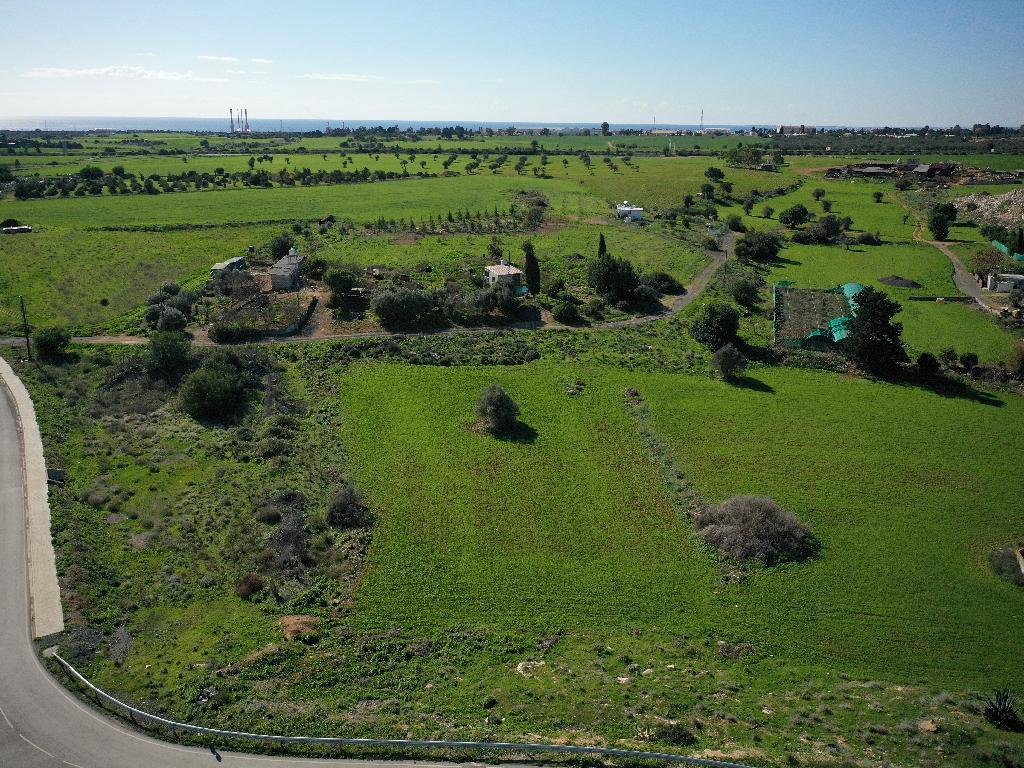 Field-Xylotimpou-PR38844