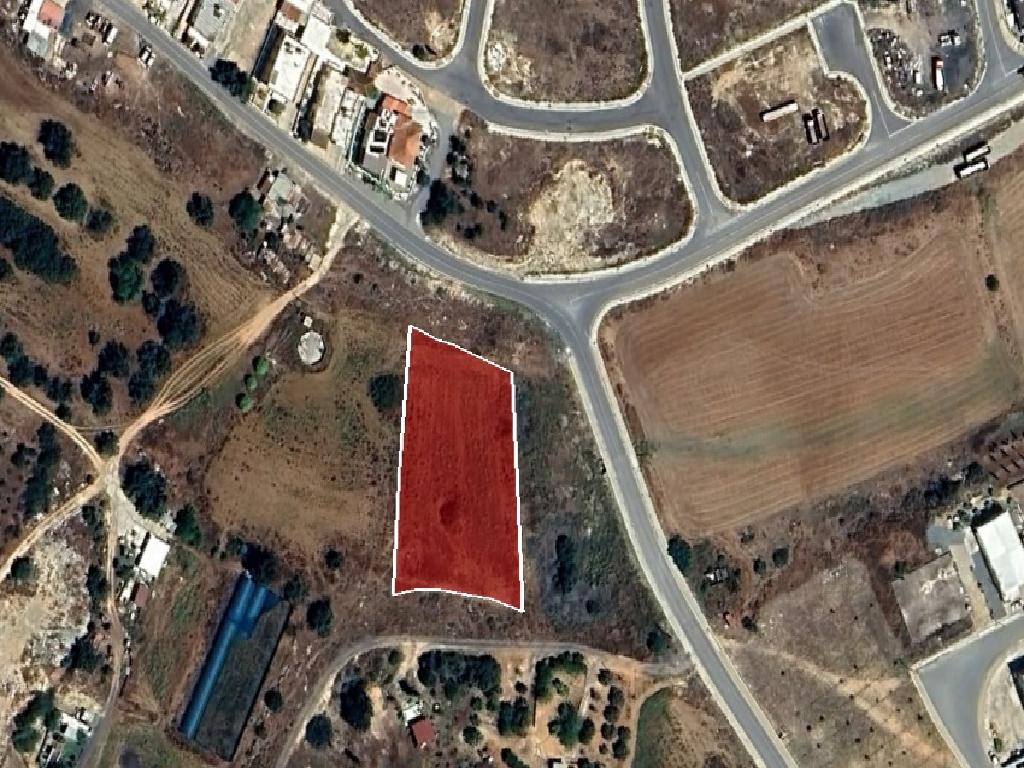 Field-Xylotimpou-PR38844