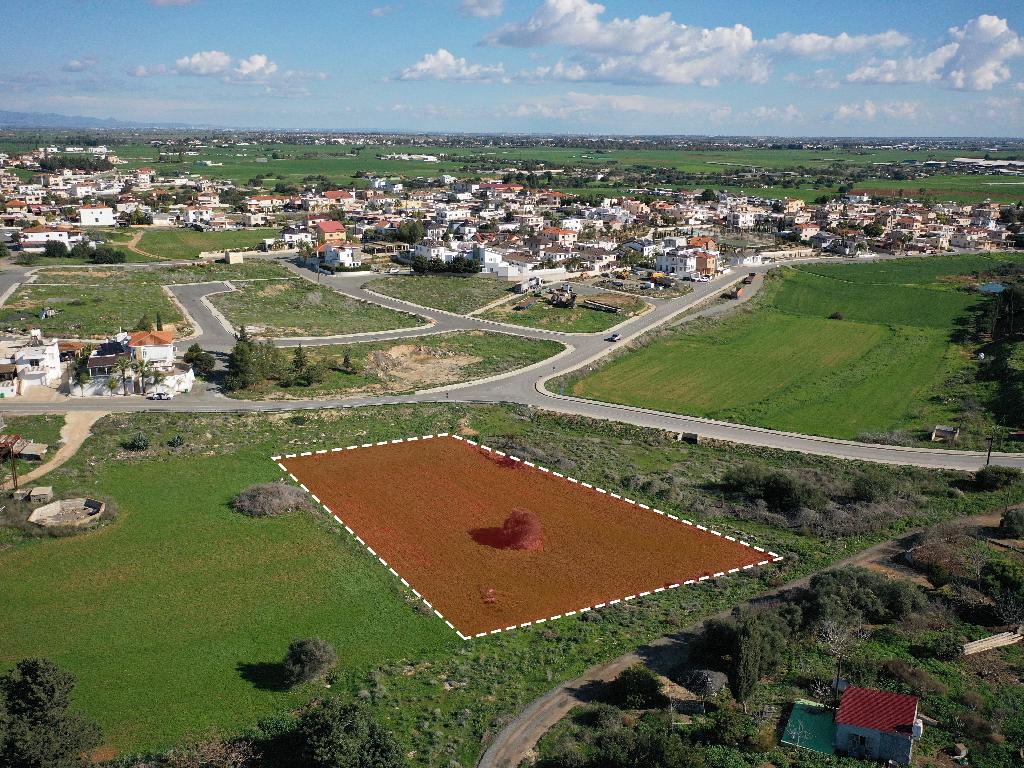 Field-Xylotimpou-PR38844