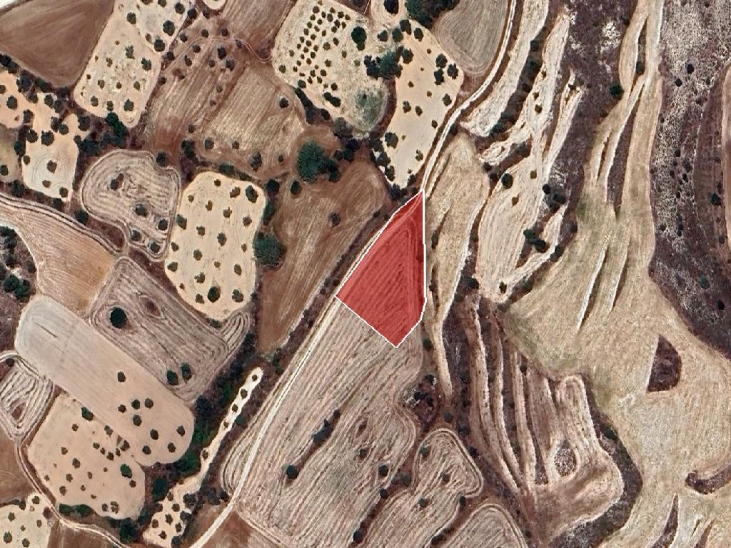 Field-Agia Varvara-PR39116
