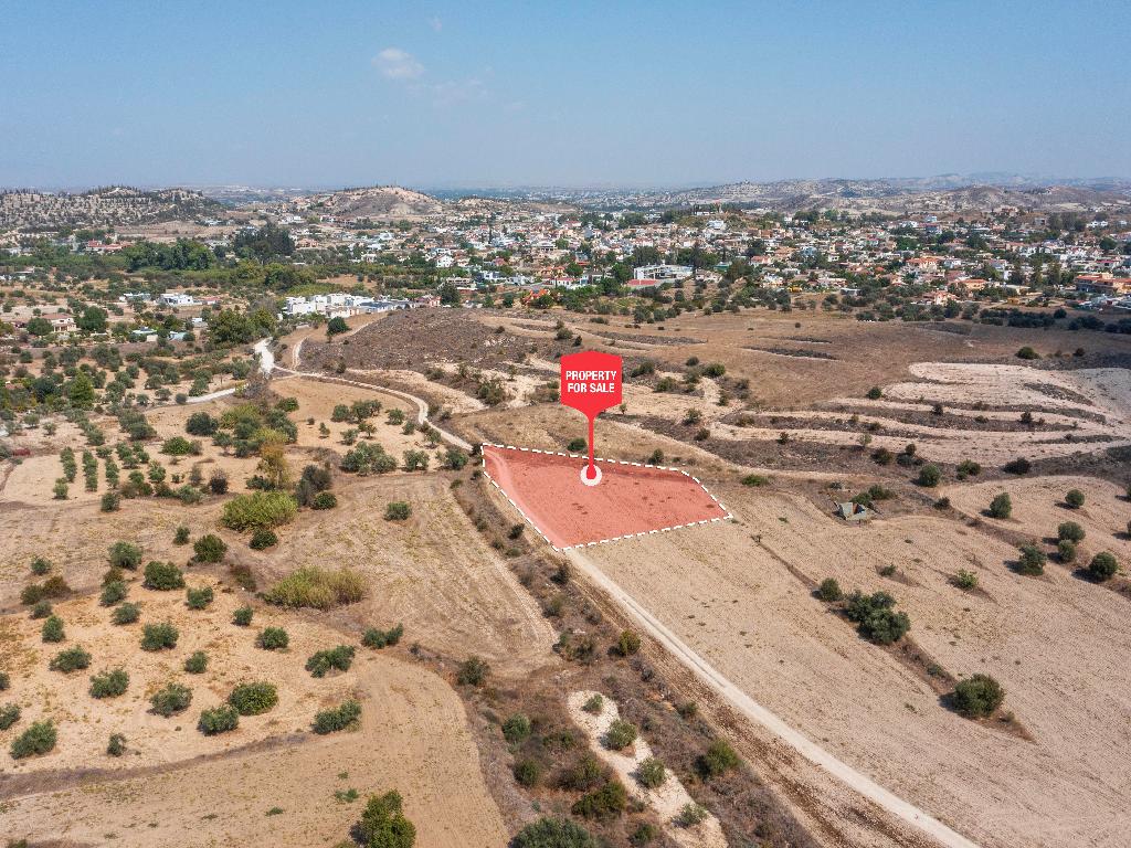 Field-Agia Varvara-PR39116