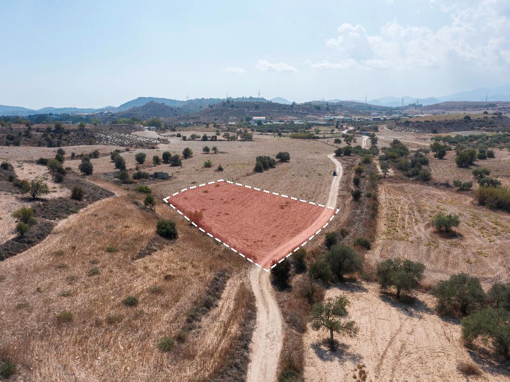 Field-Agia Varvara-PR39116