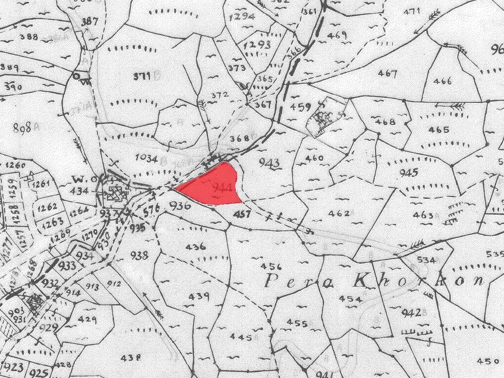 Field-Kakopetria-PR40875