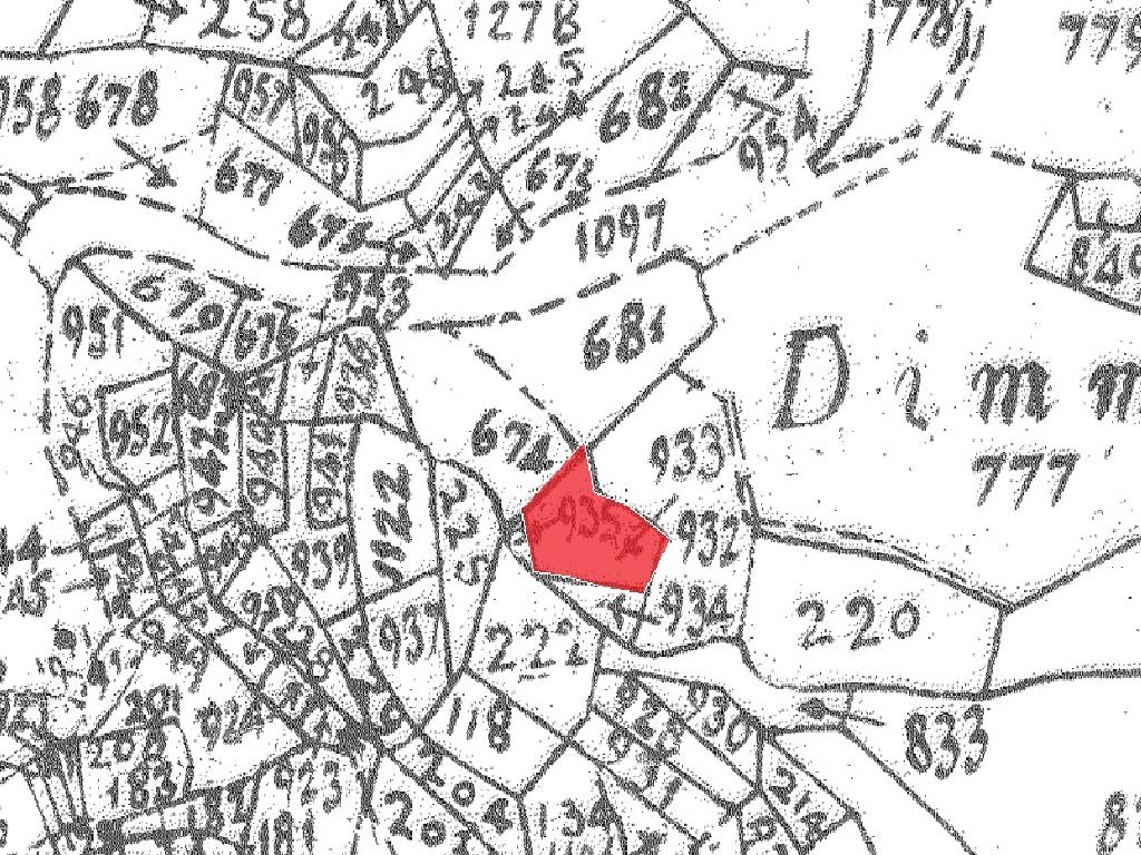 Field-Dierona-PR41231