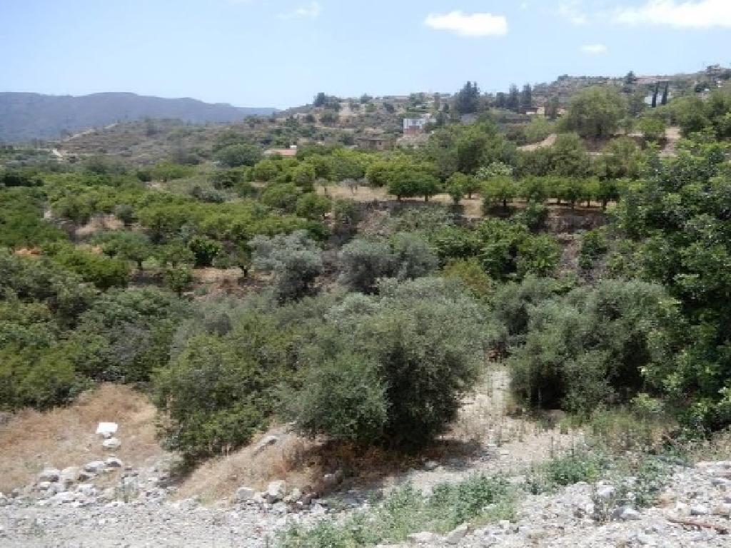 Field-Dierona-PR41231