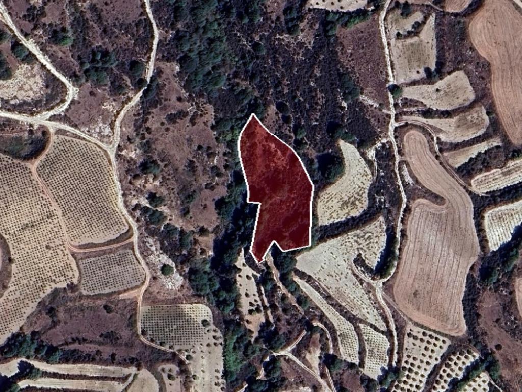 Field - Stroumpi, Paphos