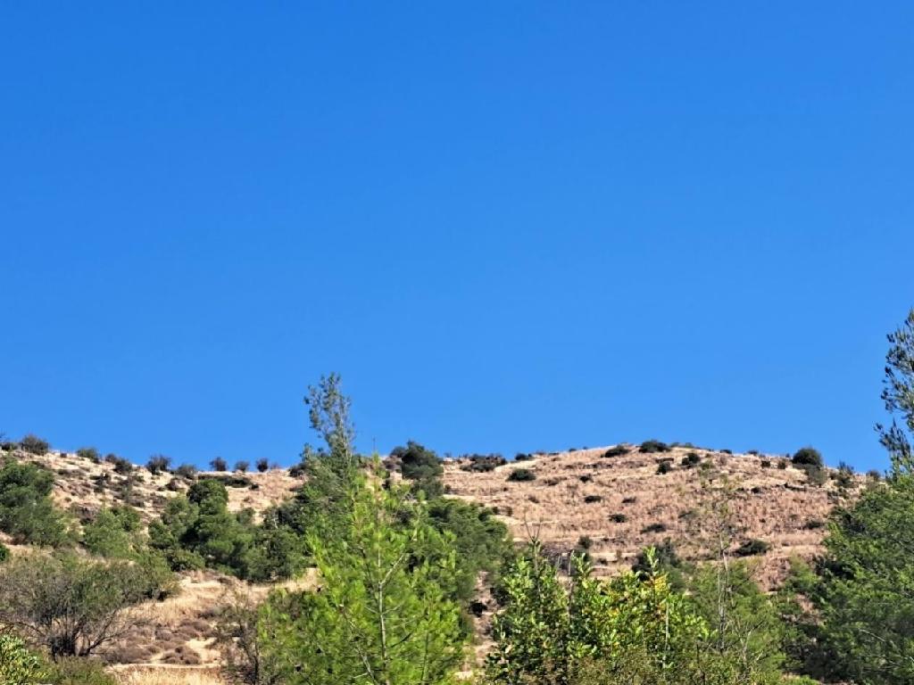 Field-Agios Epifanios (Oreinis)-PR41754