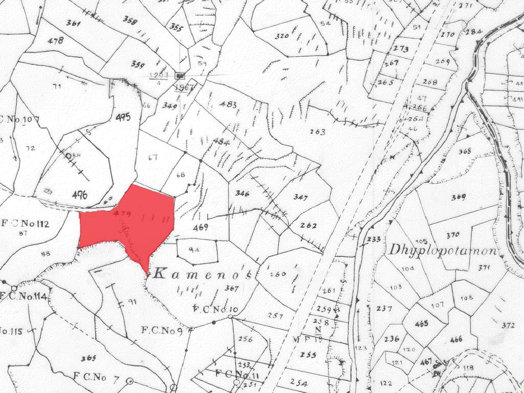 Field-Agios Epifanios (Oreinis)-PR41754