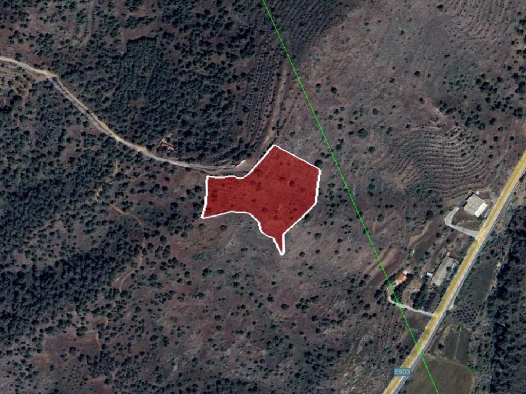 Field-Agios Epifanios (Oreinis)-PR41754