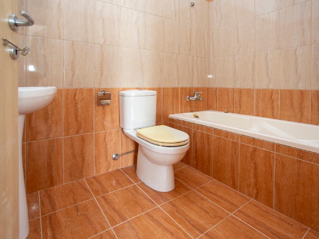 Flat-Pegeia-PR42809