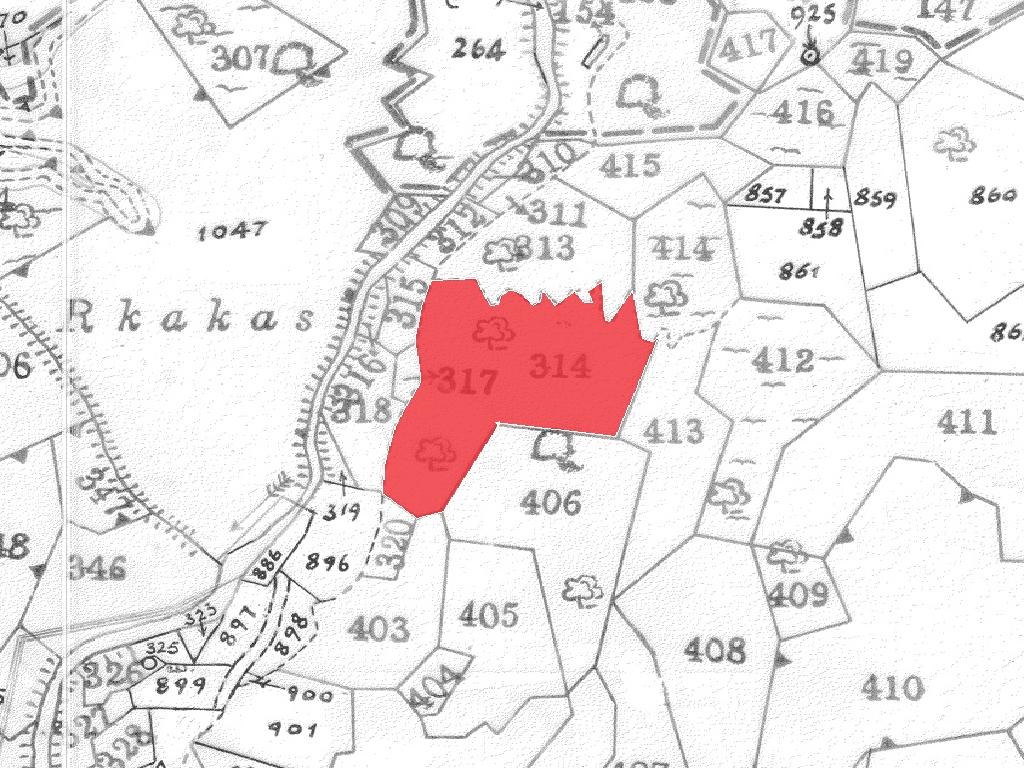 Field-Ora-PR43030