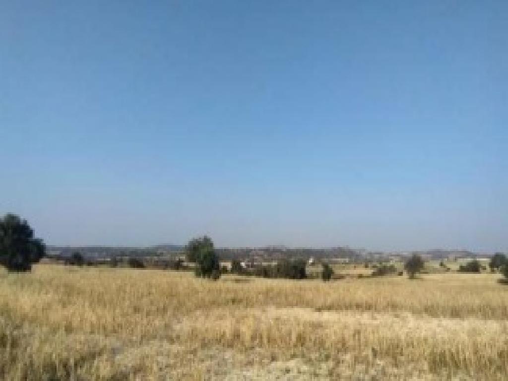 Field-Anafotida-PR43146
