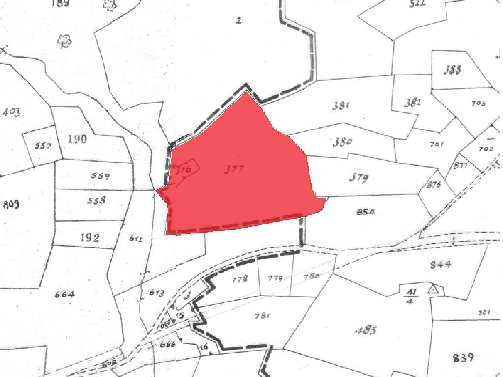 Field-Anafotida-PR43146