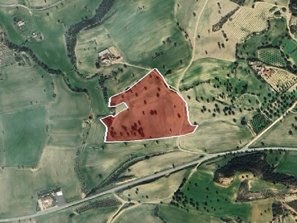 Field-Anafotida-PR43146