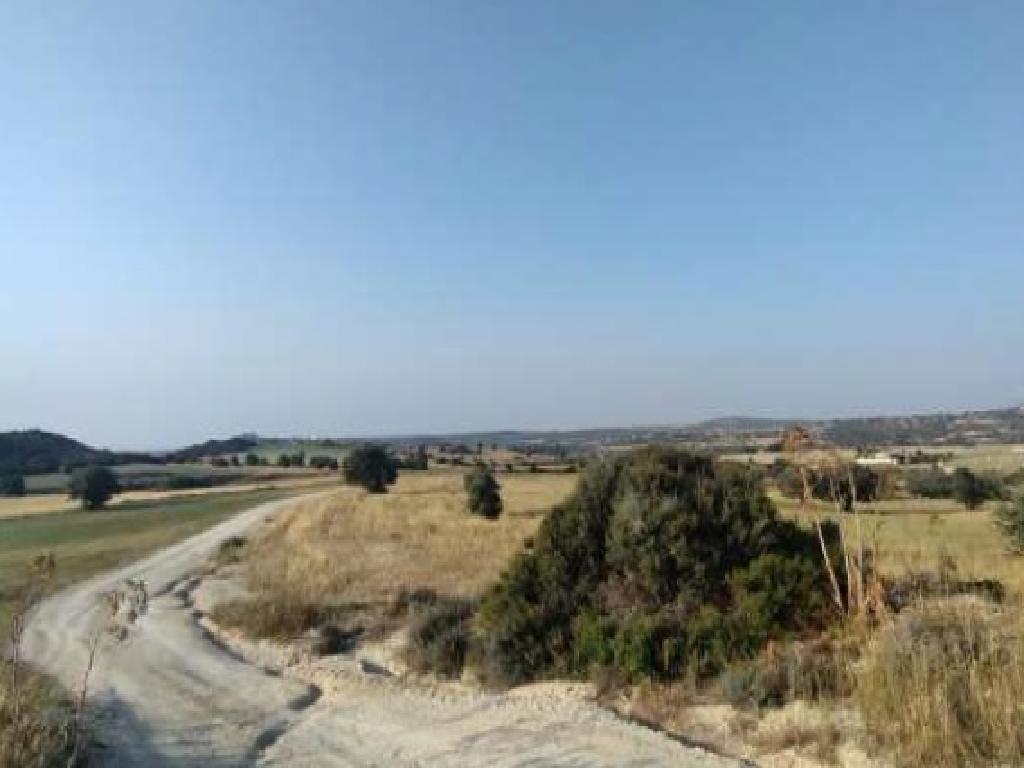 Field-Anafotida-PR43146