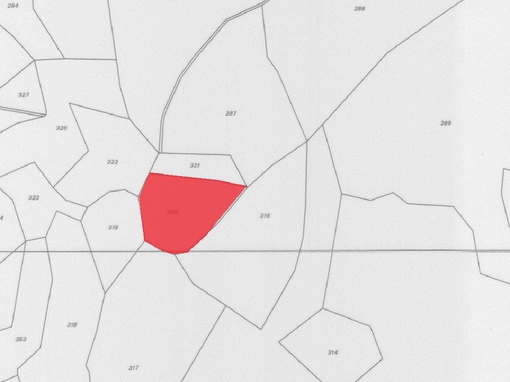 Field-Pigenia-PR13553