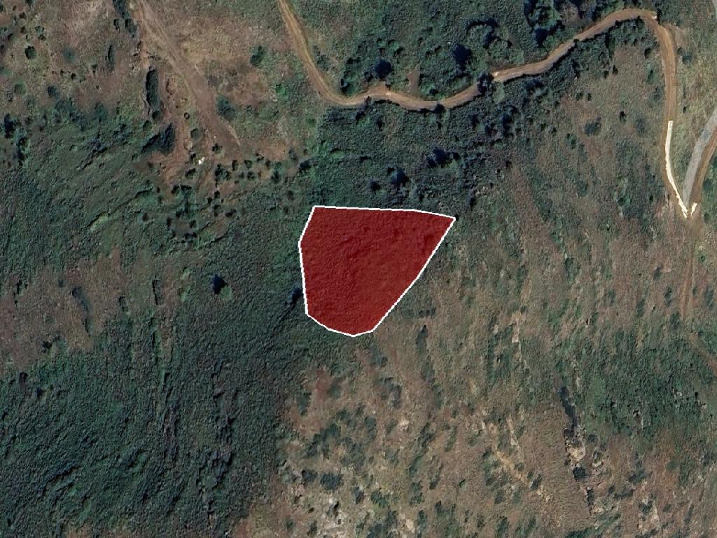 Field-Pigenia-PR13553