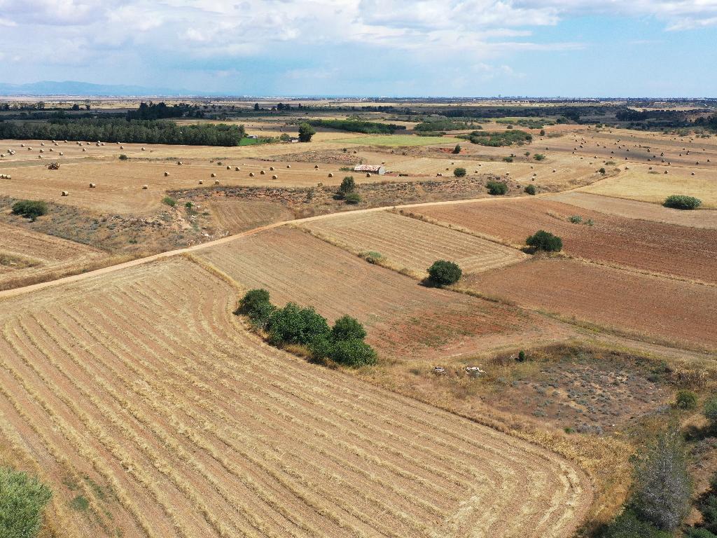 Field-Avgorou-PR13035