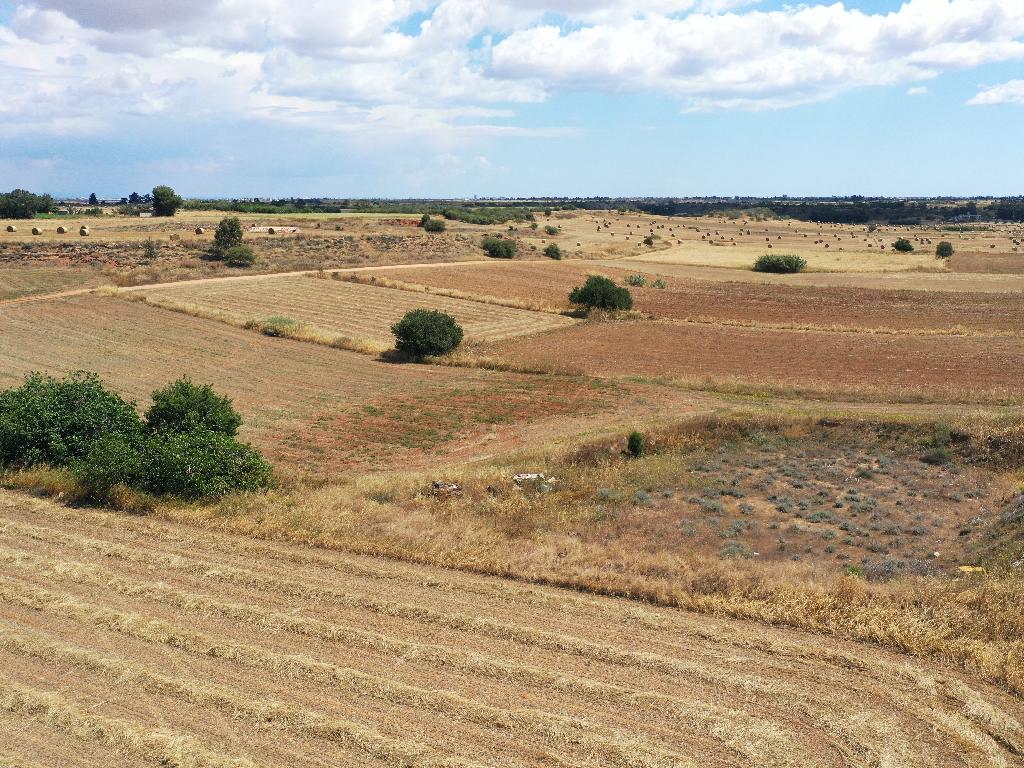 Field-Avgorou-PR13035
