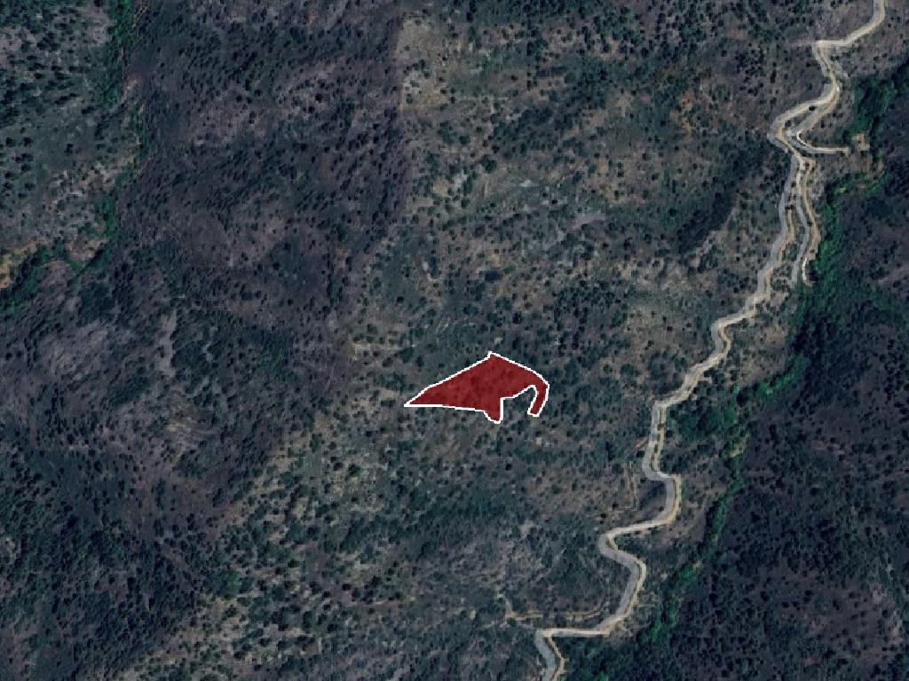 Field-Palaichori Orinis-PR15485