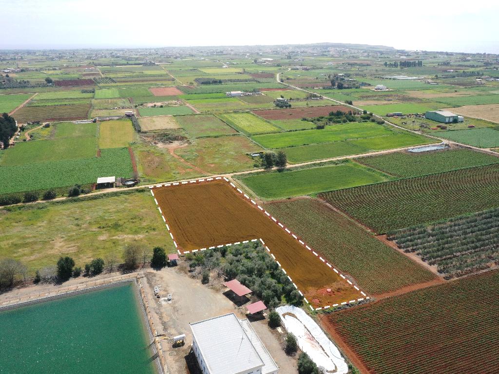 Field - Xylofagou, Larnaca