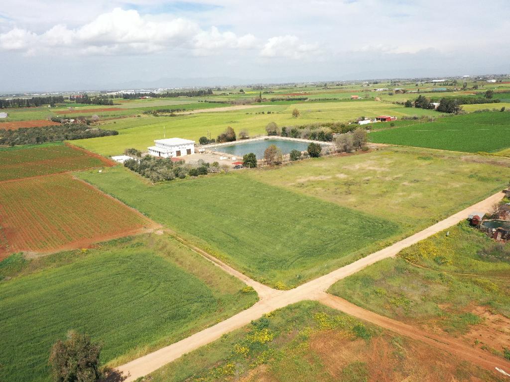 Field - Xylofagou, Larnaca