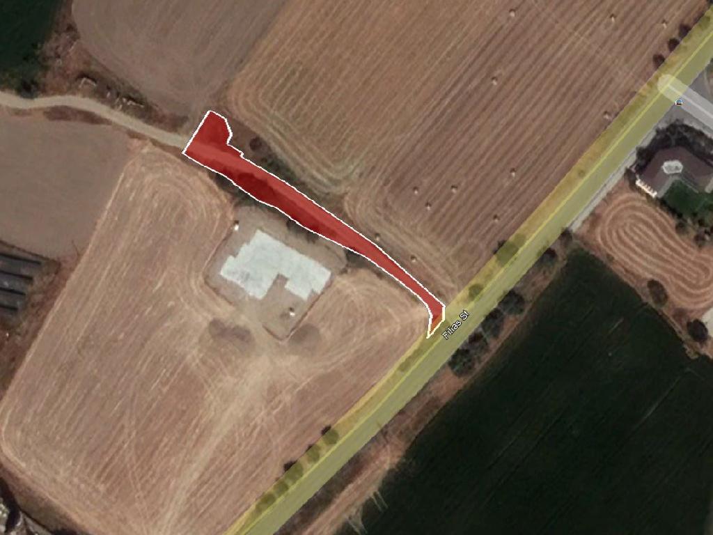 Field-Dali-PR33661