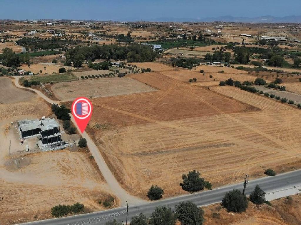 Field-Dali-PR33661