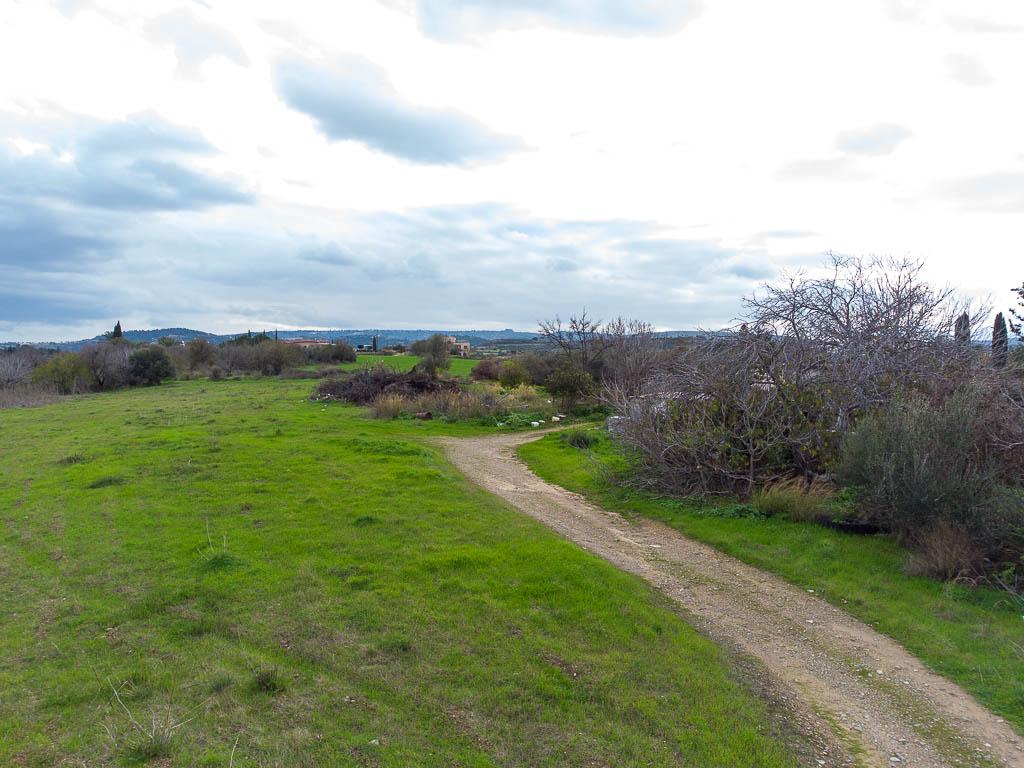 Field - Prodromi, Polis Chrysochous